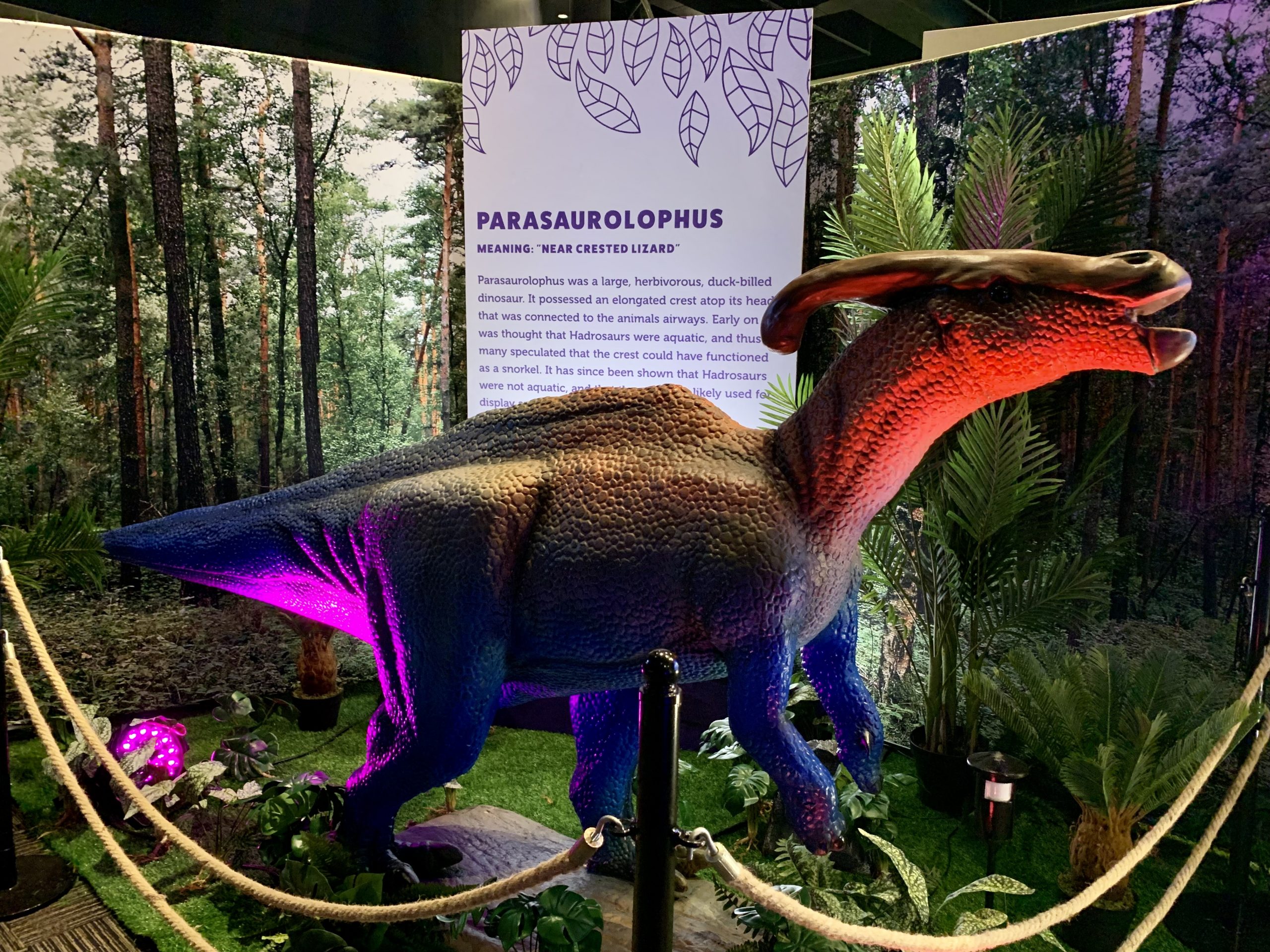 Insights and Sounds: Animal Kingdom's Extinct Dino